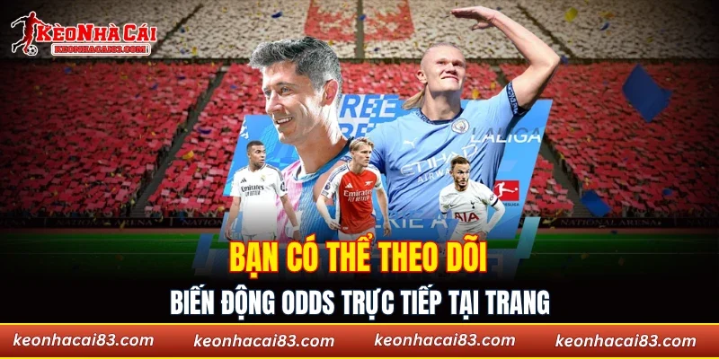 Bạn có thể theo dõi trực tiếp biến động odds